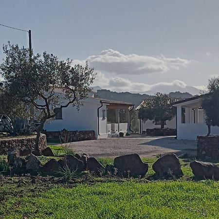 Agriturismo Sa Murta Dorgali Eksteriør bilde