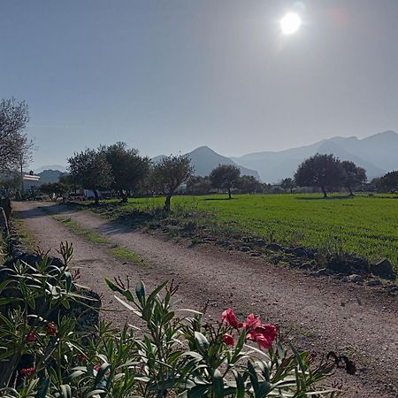 Agriturismo Sa Murta Dorgali Eksteriør bilde