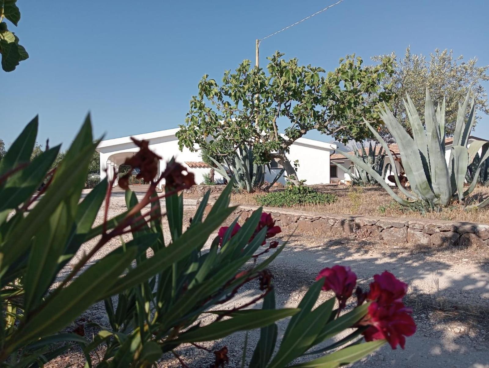 Agriturismo Sa Murta Dorgali Eksteriør bilde
