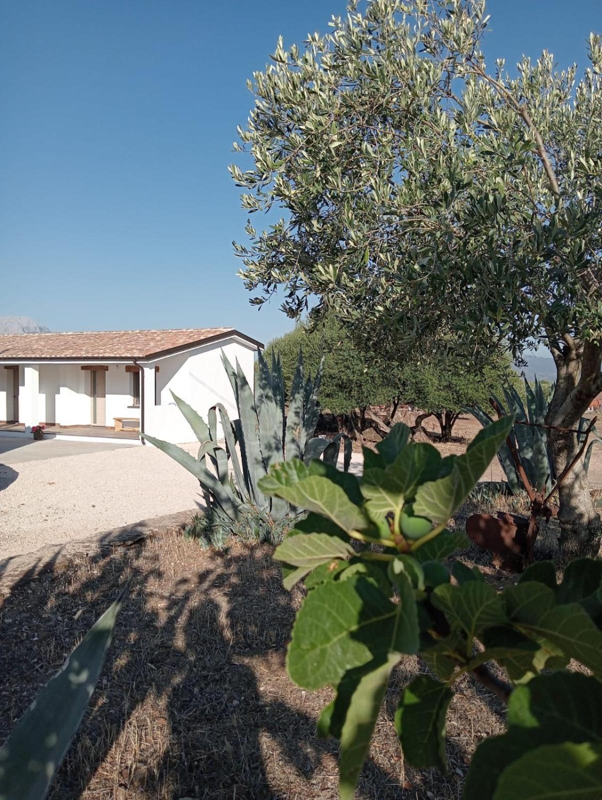 Agriturismo Sa Murta Dorgali Eksteriør bilde