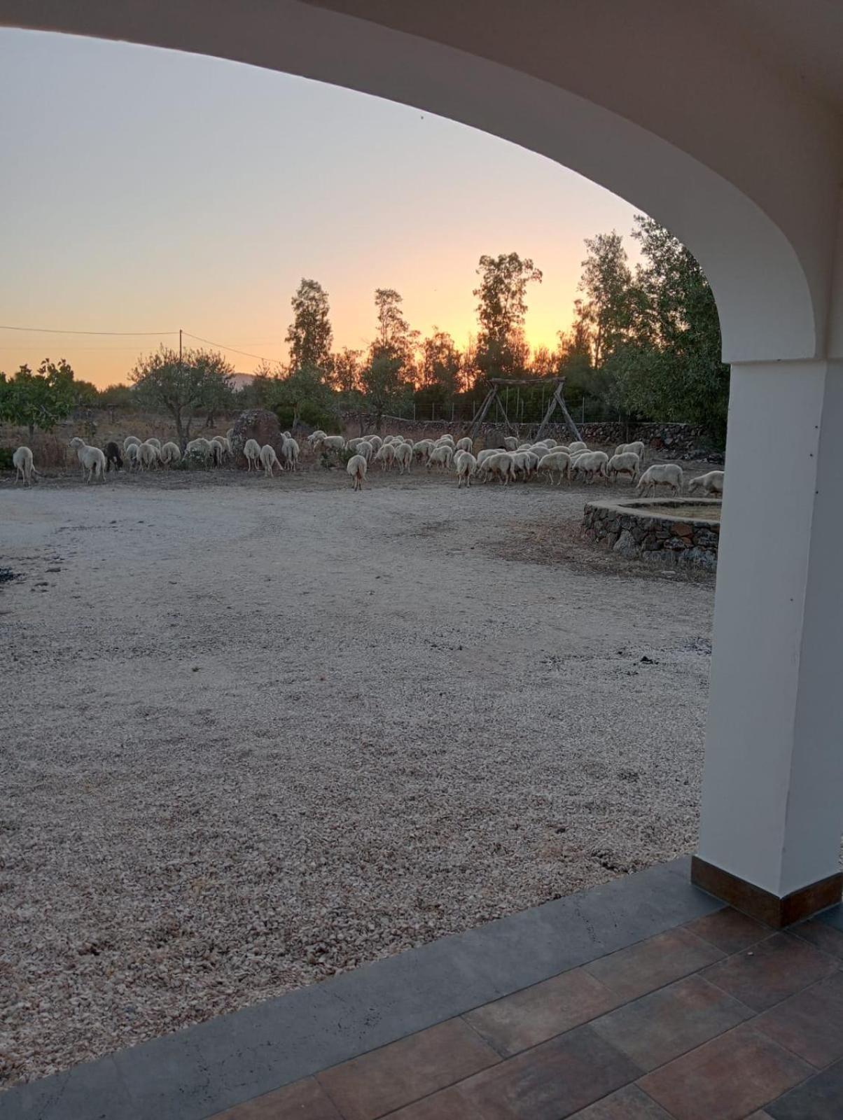 Agriturismo Sa Murta Dorgali Eksteriør bilde