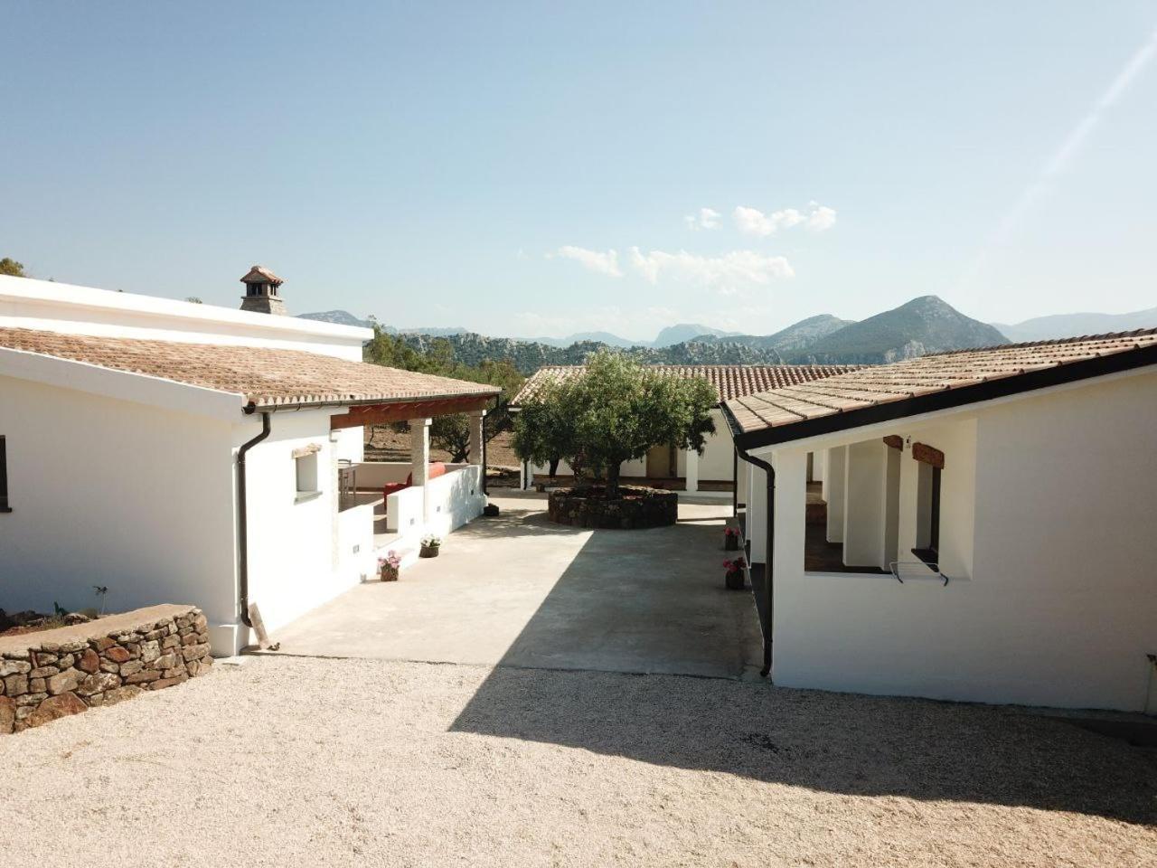 Agriturismo Sa Murta Dorgali Eksteriør bilde