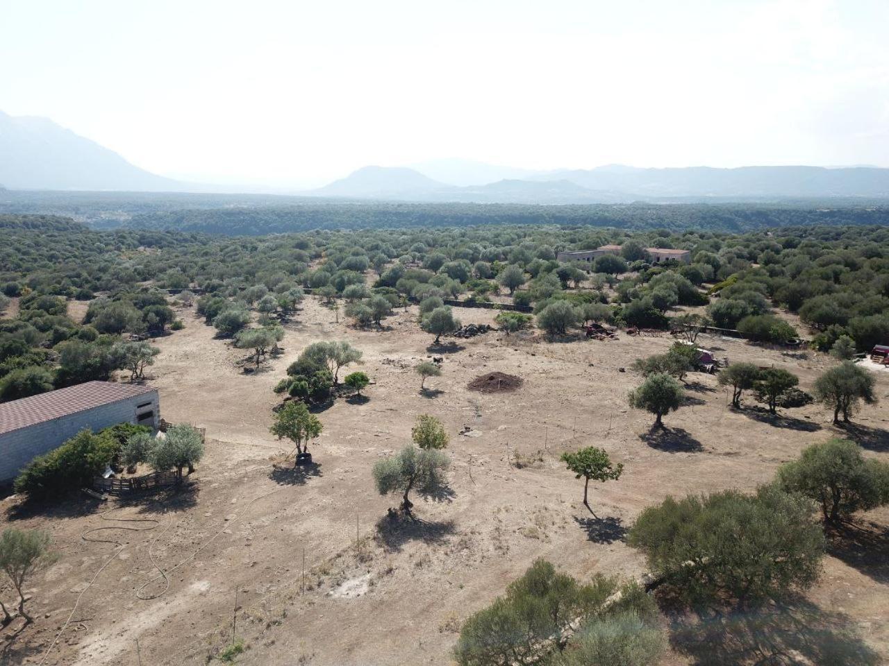 Agriturismo Sa Murta Dorgali Eksteriør bilde