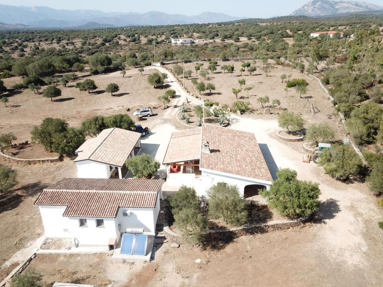 Agriturismo Sa Murta Dorgali Eksteriør bilde