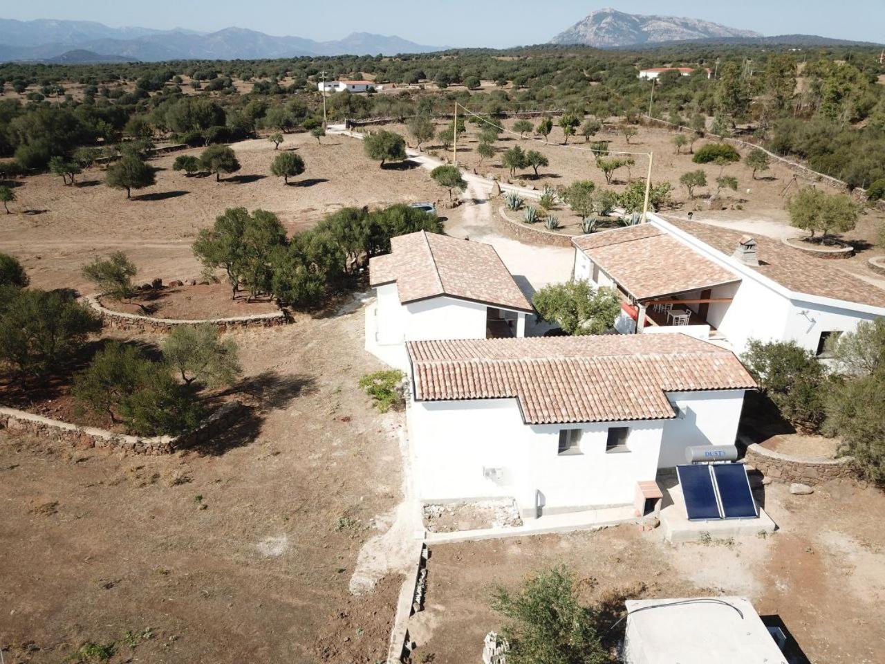 Agriturismo Sa Murta Dorgali Eksteriør bilde