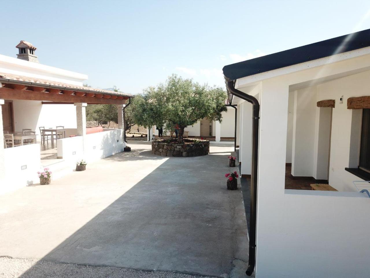 Agriturismo Sa Murta Dorgali Eksteriør bilde