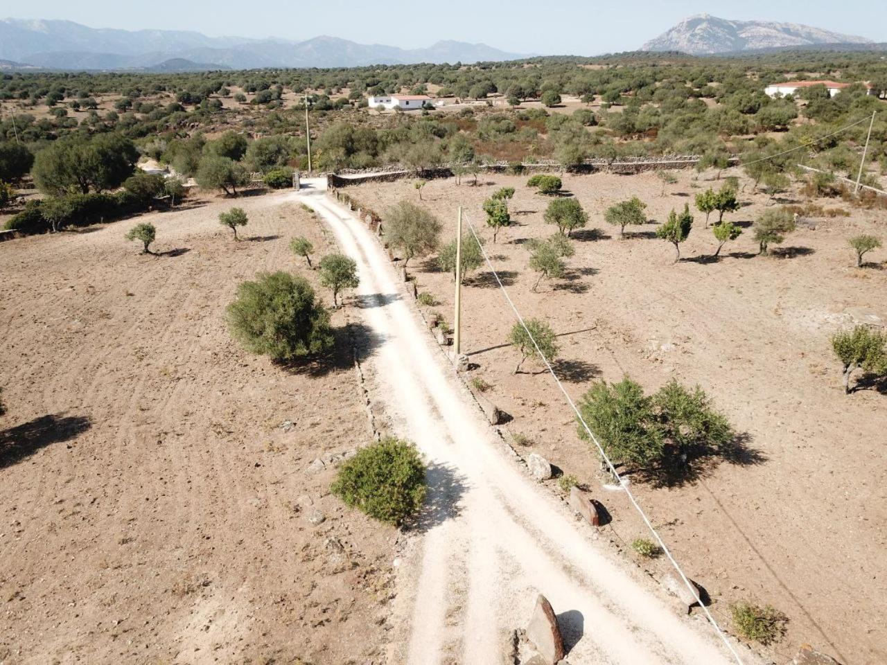 Agriturismo Sa Murta Dorgali Eksteriør bilde
