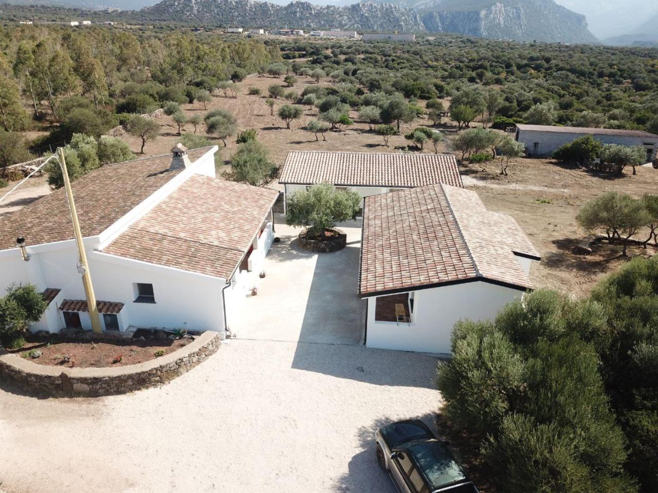 Agriturismo Sa Murta Dorgali Eksteriør bilde
