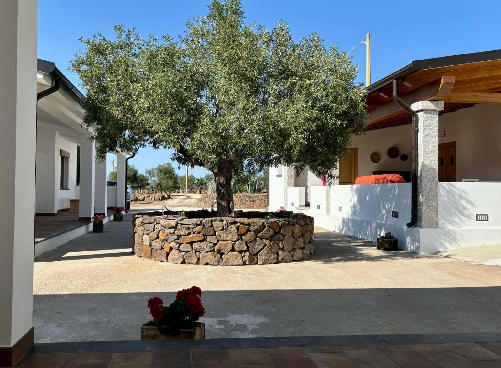 Agriturismo Sa Murta Dorgali Eksteriør bilde