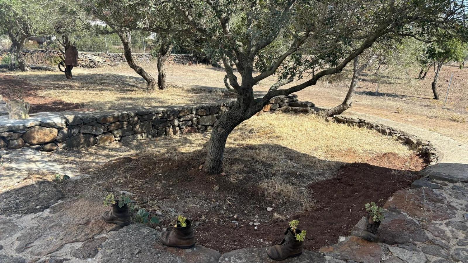 Agriturismo Sa Murta Dorgali Eksteriør bilde