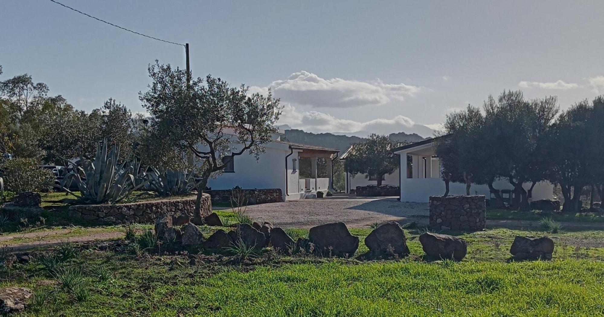 Agriturismo Sa Murta Dorgali Eksteriør bilde