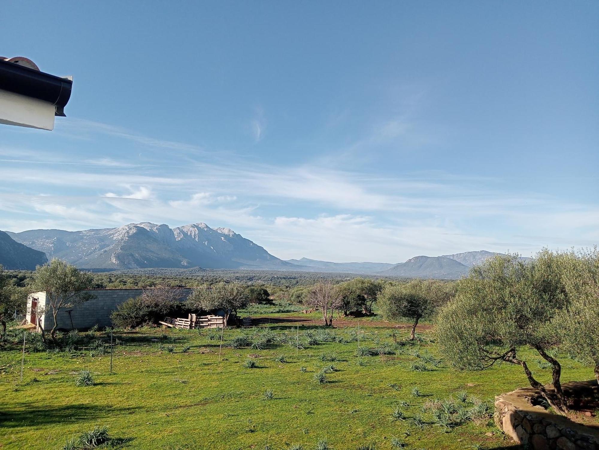 Agriturismo Sa Murta Dorgali Eksteriør bilde