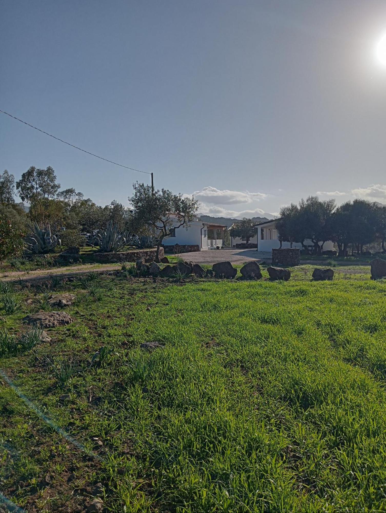 Agriturismo Sa Murta Dorgali Eksteriør bilde